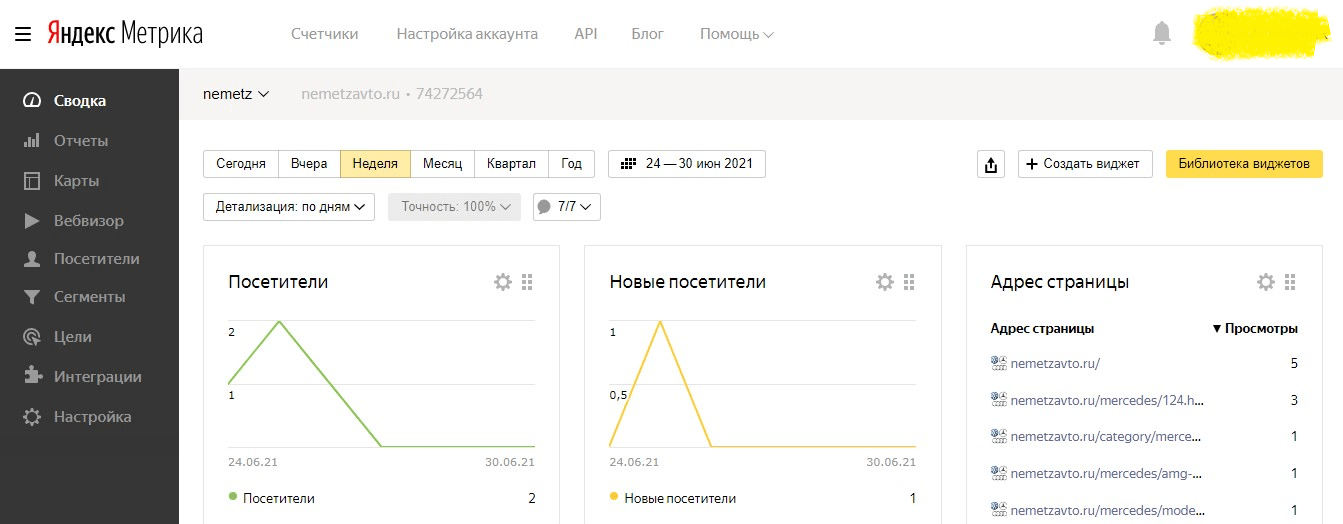 Посетители сайта в метрике