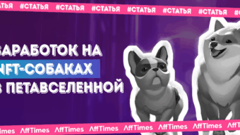Как начать зарабатывать на NFT-собаках в петавселенной Dogami