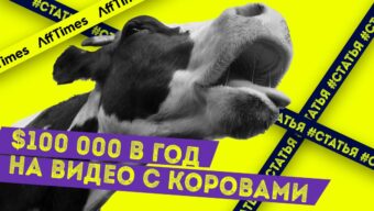 Как видео с коровами приносит автору от $100 000/год на YouTube