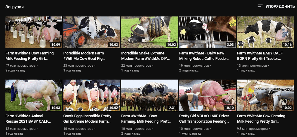 Как видео с коровами приносит автору от $100 000/год на YouTube