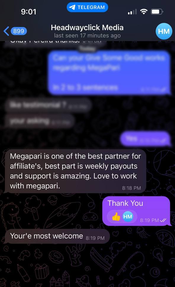 Megapari Partners — прямой рекламодатель в игровой индустрии.