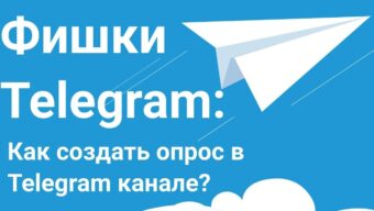 Создание опроса в Telegram: все, что вам нужно знать