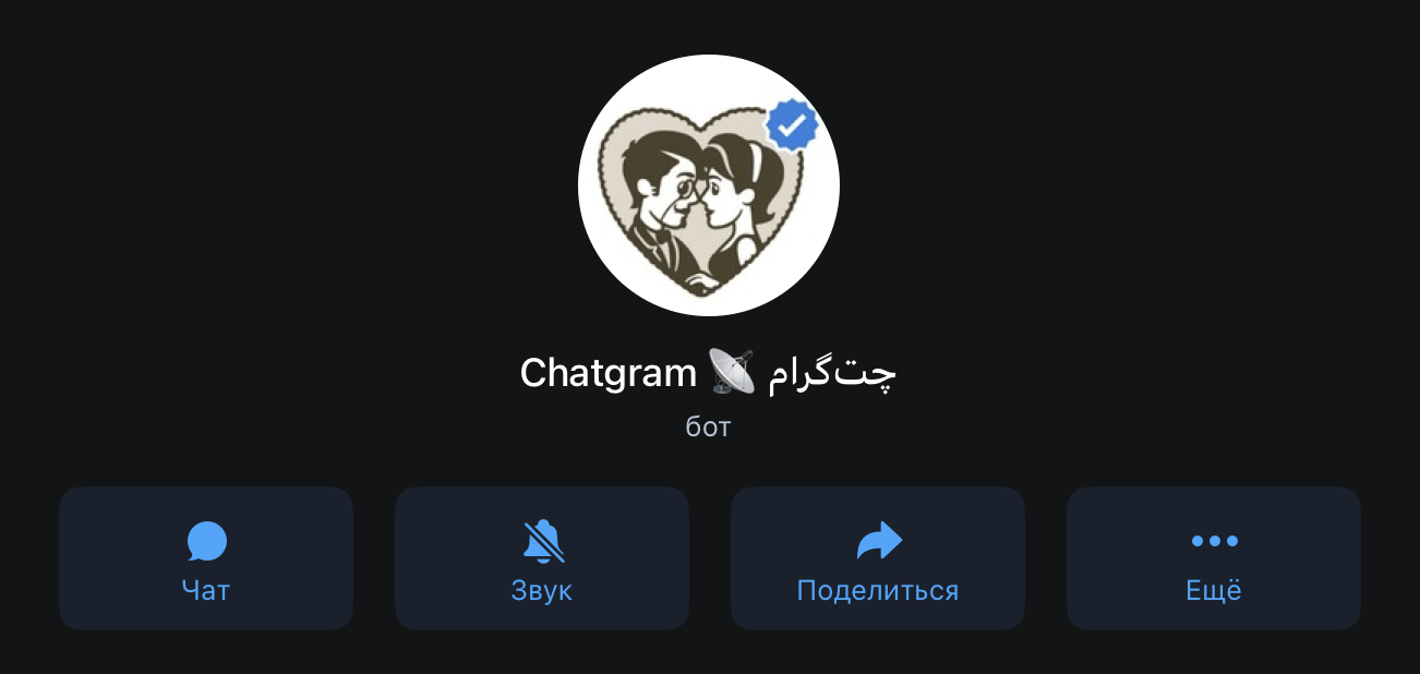 Chatgram как отключить