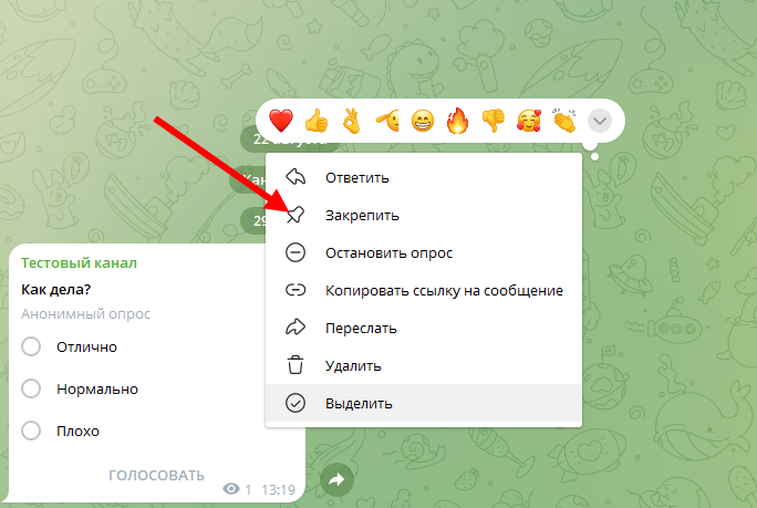 Создание опроса в Telegram: все, что вам нужно знать