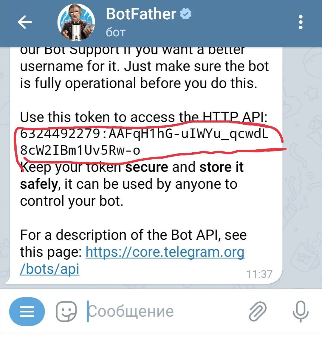 Как подключить и настроить оплату через Telegram-бота