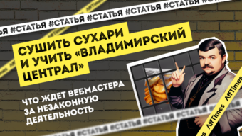 Сушить сухари и учить «Владимирский централ»: что ждет вебмастера за незаконную деятельность