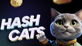 Как заработать на тапалке CATS в Telegram
