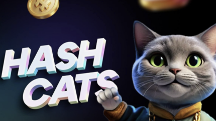Как заработать на тапалке CATS в Telegram