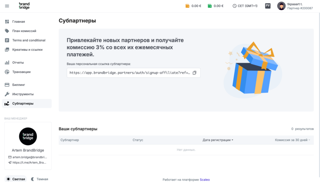 Обзор Brand Bridge: прямой рекламодатель, бамп к ставке 10€ после тест-капы и отсутствие холда
