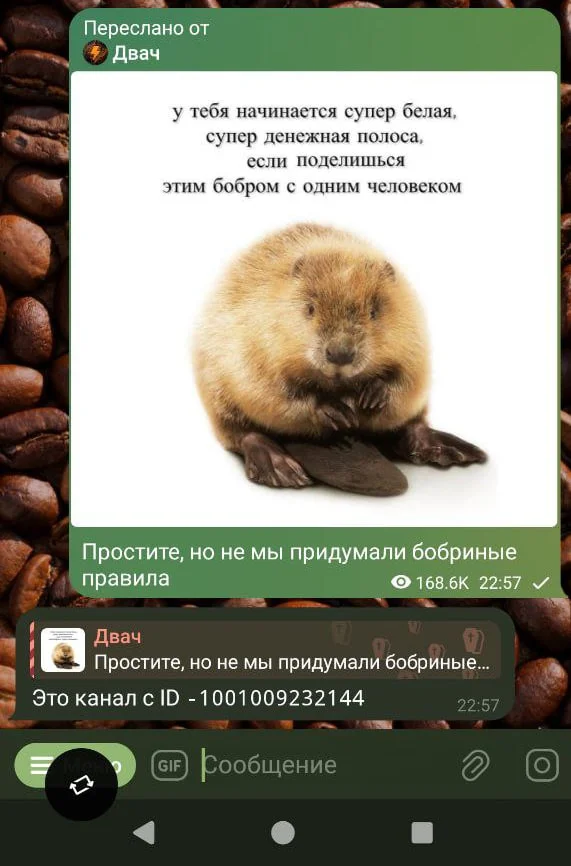 ID, никнейм, ссылка: как найти свои данные в Телеграм и не запутаться