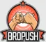BroPush