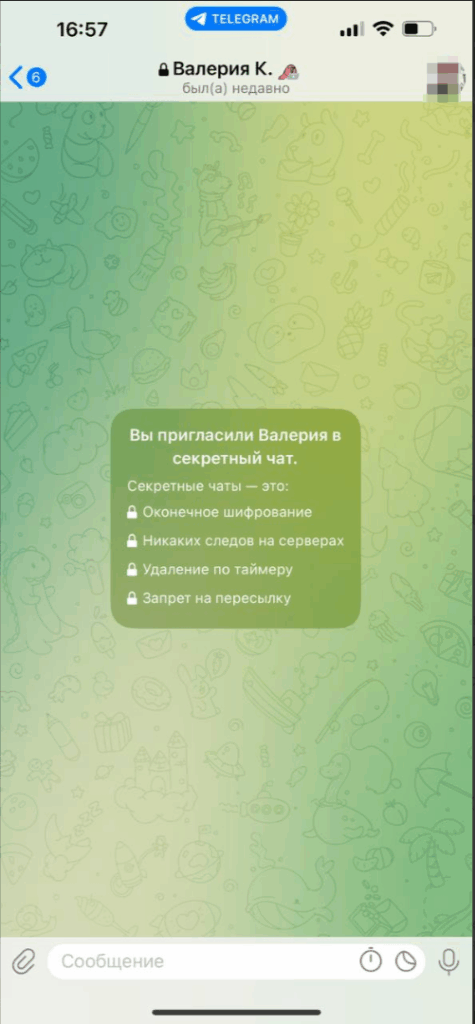 опции в секретно чате