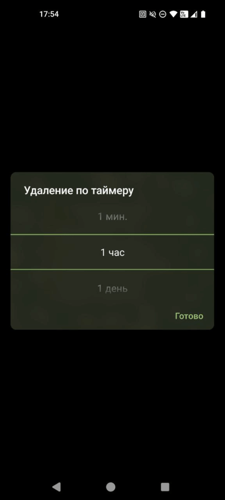 таймер удаления сообщений в чате