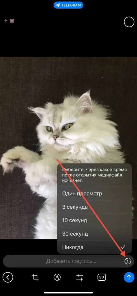 Как отправить исчезающее фото в Telegram: полный разбор функции