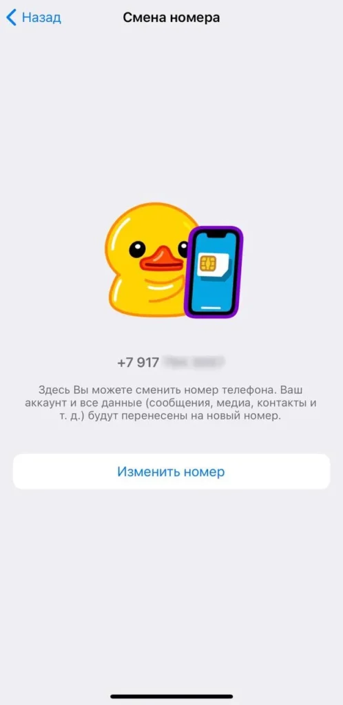 Как узнать номер телефона в Телеграм: 7 проверенных способов