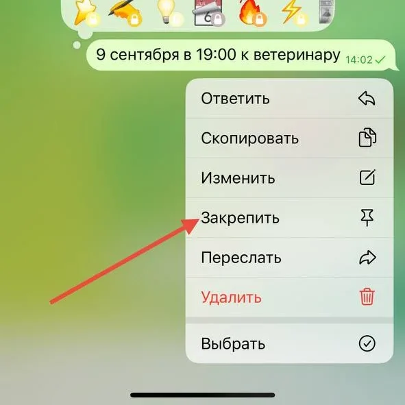 Как закрепить сообщение в Телеграме: полный разбор