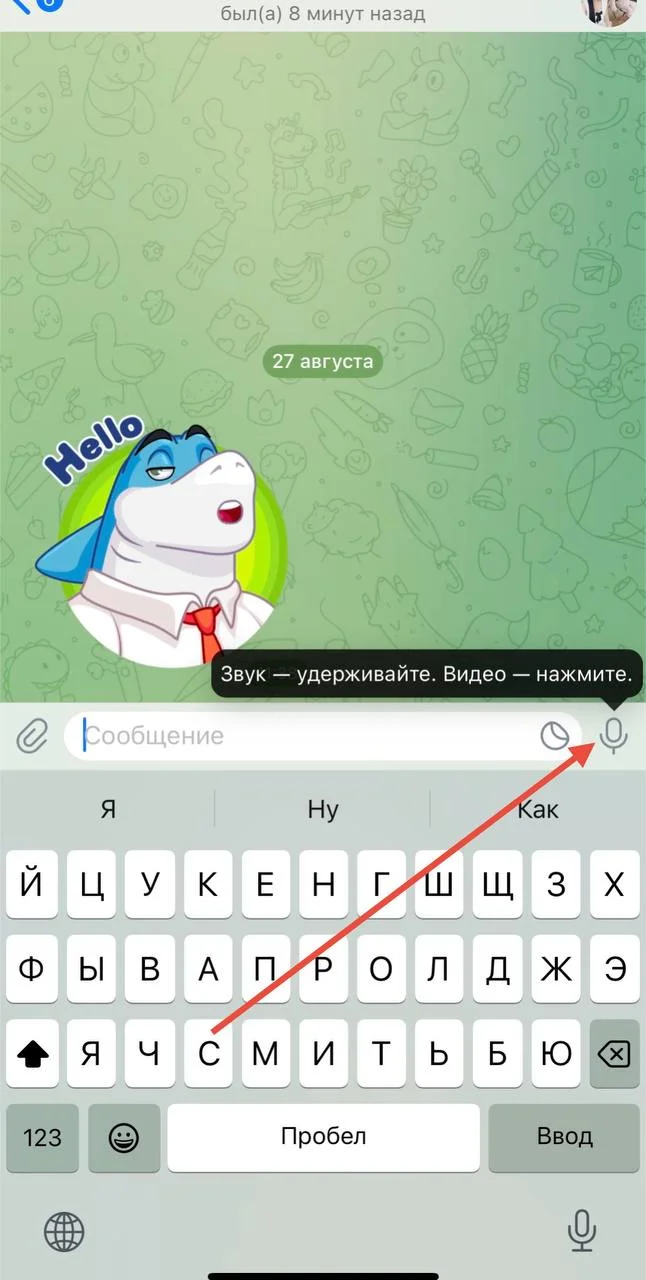 Как записывать кружочки в Telegram: инструкция по созданию и отправке видео-сообщений