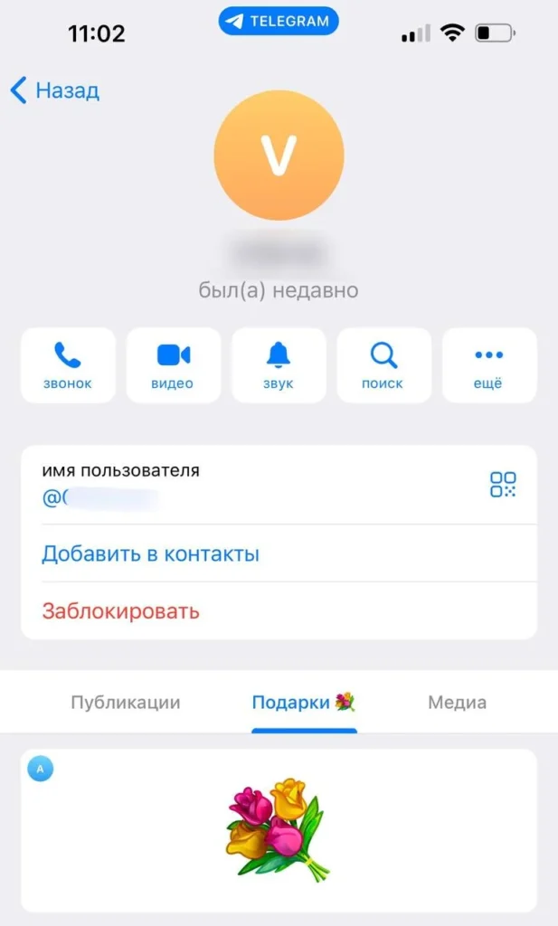 Подарки в Telegram: подробный гид по виртуальным презентам, NFT и Premium-подписке