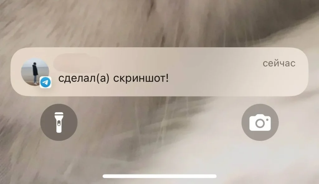 Как отправить исчезающее фото в Telegram: полный разбор функции