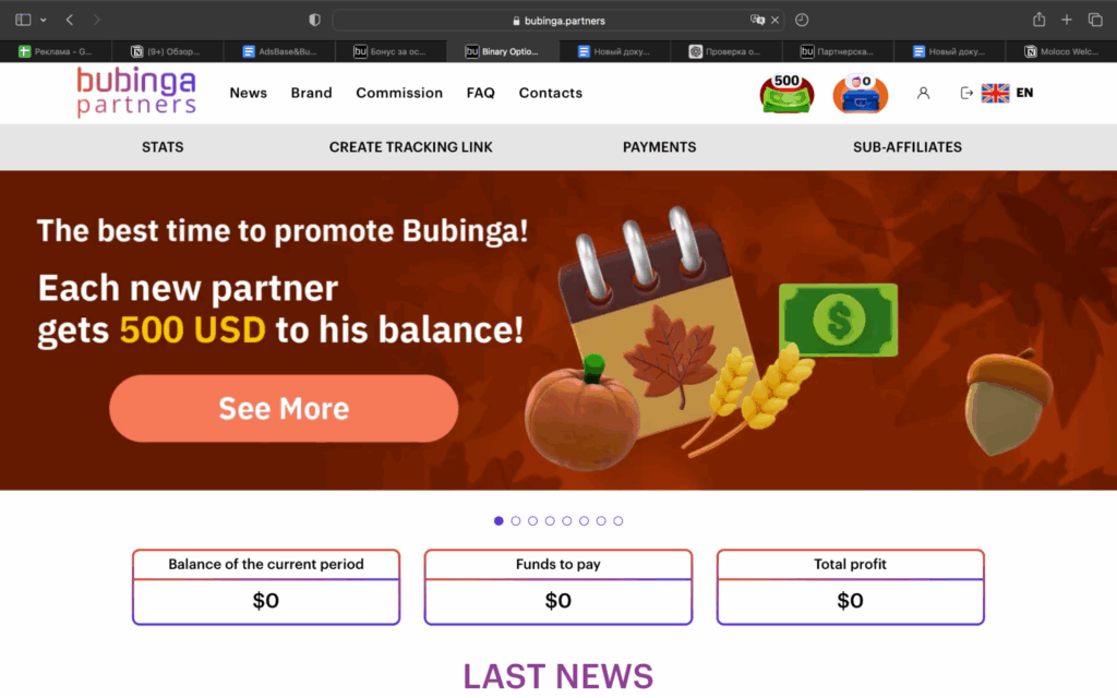 Обзор партнерской сети по бинарным опционам Bubinga Partners — ставки по RS до 45% и по CPA до $300
