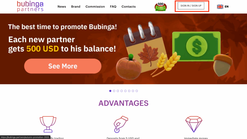 Обзор партнерской сети по бинарным опционам Bubinga Partners — ставки по RS до 45% и по CPA до $300