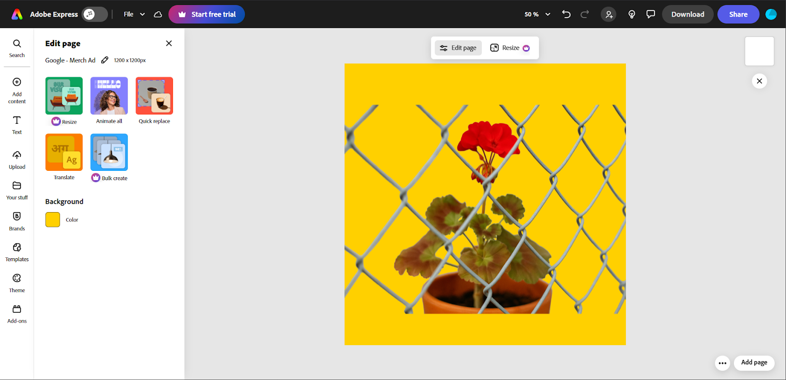 цветной фон Adobe Express