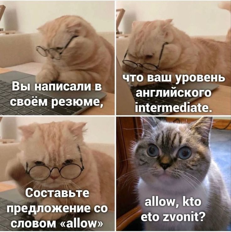 мем про изучение английского