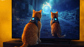 Прохождение в четыре лапы: видео с котом, «играющим» в Stray, стало главным мемом недели