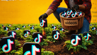 Массовое скачивание TikTok‑видео в 2026 году: новые подходы
