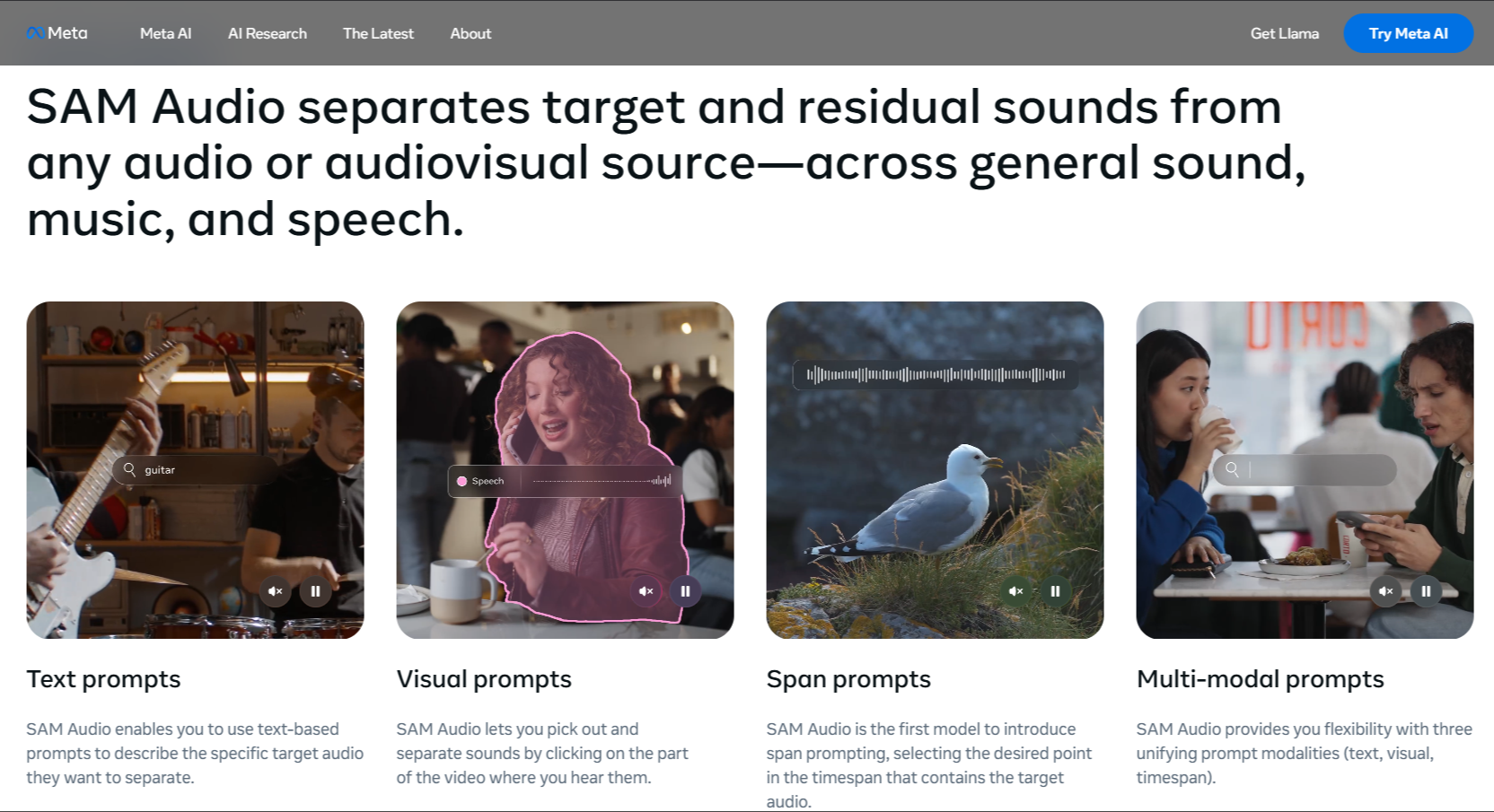 SAM Audio 