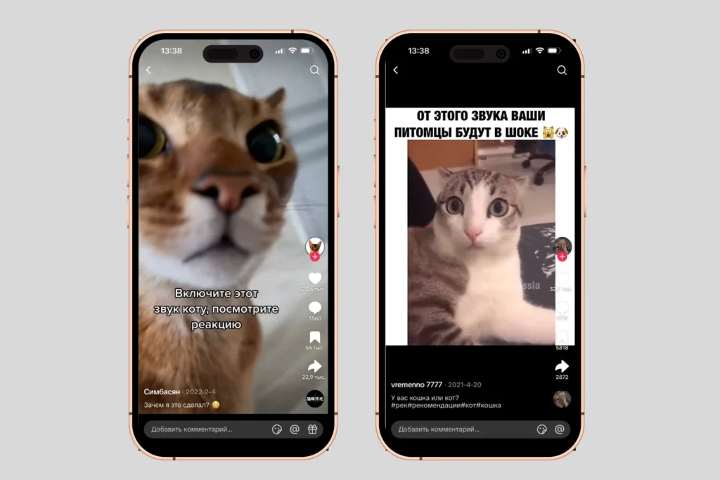 Что снимать в TikTok: 50 рабочих идей для роликов
