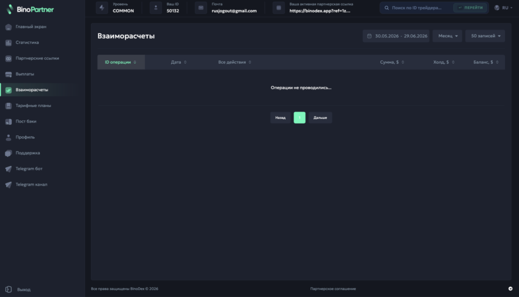 Обзор финансовой ПП BinoPartner: моментальные выводы, RS 80% на старте и отсутствие кап
