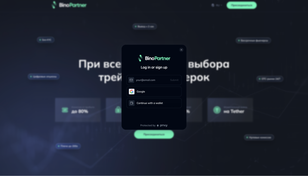 Обзор финансовой ПП BinoPartner: моментальные выводы, RS 80% на старте и отсутствие кап