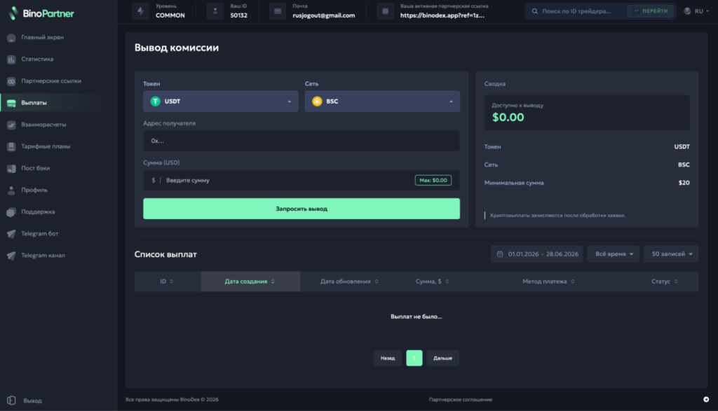 Обзор финансовой ПП BinoPartner: моментальные выводы, RS 80% на старте и отсутствие кап