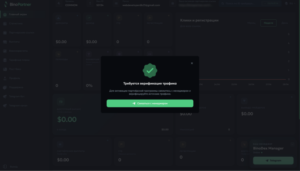Обзор финансовой ПП BinoPartner: моментальные выводы, RS 80% на старте и отсутствие кап