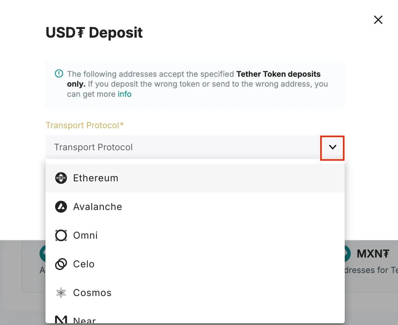 Выбор сети для депозита USDT: Ethereum, Avalanche, Omni, Celo, Cosmos и другие