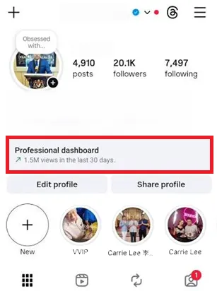 Кнопка Professional dashboard в профиле Instagram